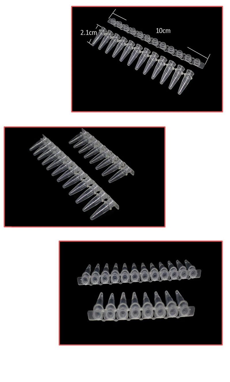 Thin Wall Flex Free PCR Tube in Strips of 8